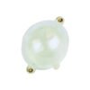 Bulbo Waterdog Burbuja Agua Para Pesca Mosca Fly 10 Unidades - Imagen 3