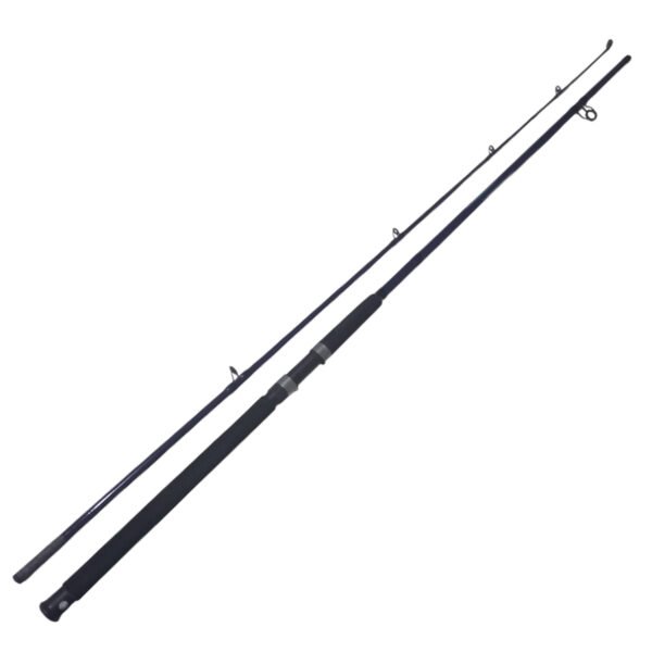Caña Pesca 3,30 Mts 2 Tramos Variada Rio Laguna Pilcomayo 80 Gr
