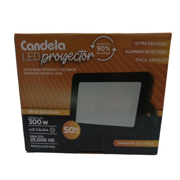 Pack 10 Reflectores Proyector Led 50w Luz Calida Int / Ext