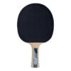 Paleta Ping Pong Donic Tenis De Mesa Legends Line 1000 - Imagen 2