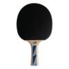 Paleta Tenis De Mesa Ping Pong Donic Legends Line 700 - Imagen 3