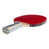Paleta Tenis De Mesa Ping Pong Donic Legends Line 700 - Imagen 4
