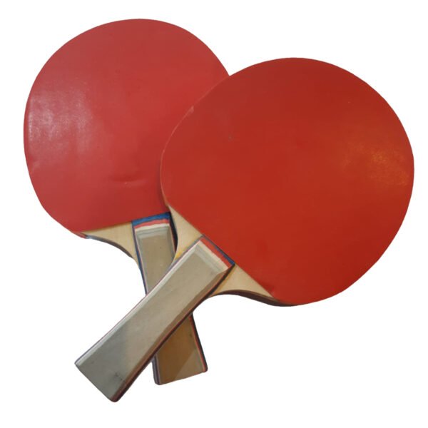 Kit 2 Paletas De Ping Pong Tenis De Mesa Juego Con 2 Pelotas