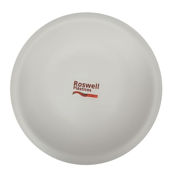 Set 6 Platos Playo Plastico Redondo Grande 26cm Roswell