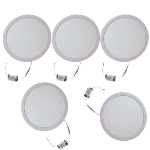 Panel Plafon Led Embutir Empotrar Pack X 5 Luz Fria 30cm 24w