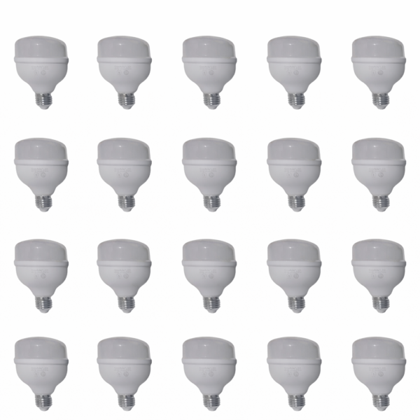 Pack 20 Lamparas Galponera Led 30w Luz Fria Blanco Frío Foco