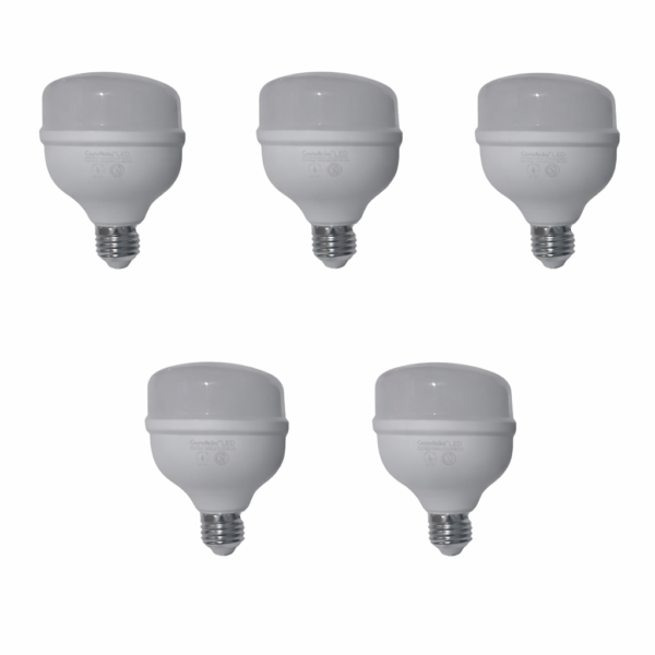 lampara 6803 x 5 un 1 Pack 5 Lamparas Galponera Led 30w Luz Fria Blanco Frío Foco
