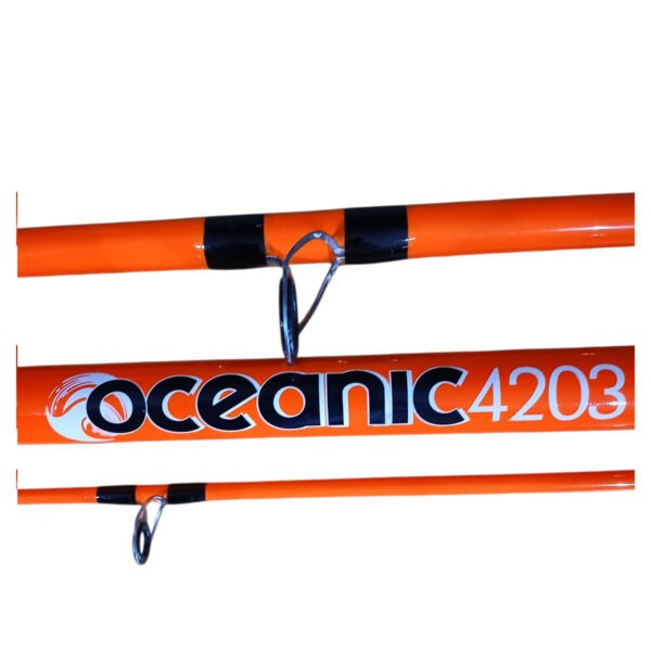 Caña de pescar surfcasting Waterdog Oceanic 4,20 m